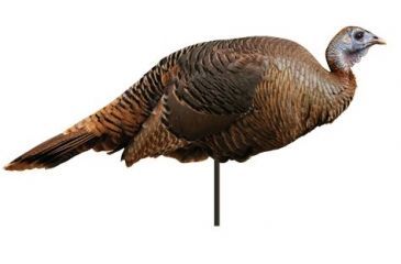 Image of spring fling hen decoy, brown