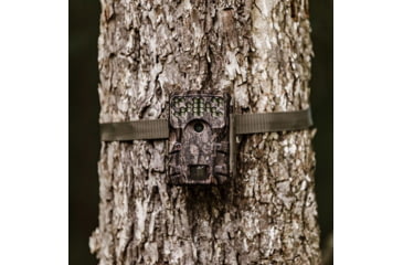 Image of Moultrie A-900i Trail Camera Bundle, MCG-14002