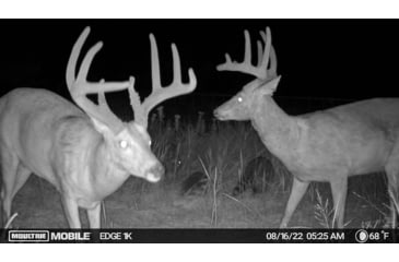 Image of Moultrie Edge 2