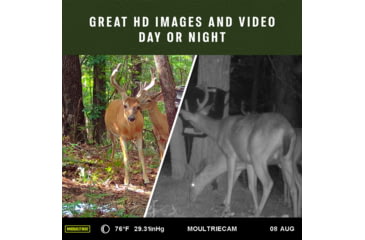 Image of Moultrie Feeders Delta Base Cell Camera Verizon, 24MP, MCG-14061