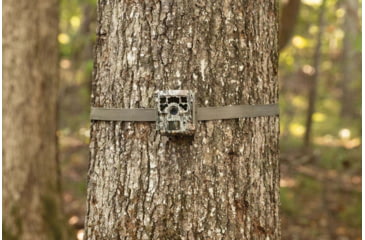 Image of Moultrie Feeders Micro-42 Kit, White Bark Camo, MCG-14059