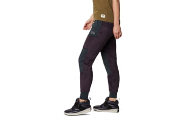 Image of Mountain Hardwear Monkey/2 Pant - Women's, Blurple, Large, Long, OL8892599-L-L
