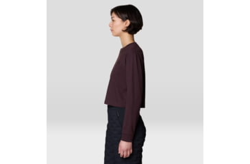 Image of Mountain Hardwear MHW Box Logo LS Crop - Womens