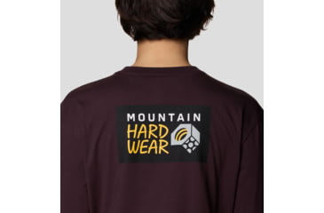 Image of Mountain Hardwear MHW Box Logo LS Crop - Womens