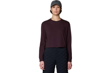 Image of Mountain Hardwear MHW Box Logo LS Crop - Womens