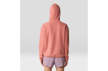 Image of Mountain Hardwear Microchill Hoody - Womens