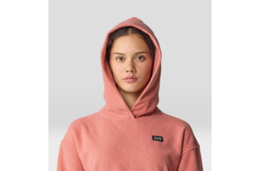 Image of Mountain Hardwear Microchill Hoody - Womens