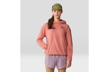 Image of Mountain Hardwear Microchill Hoody - Womens
