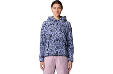 Image of Mountain Hardwear Microchill Hoody - Womens