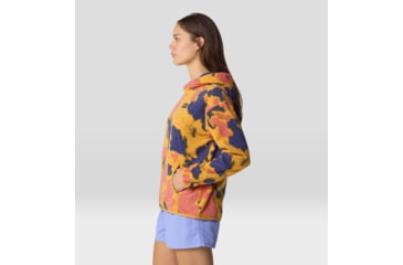 Image of Mountain Hardwear Microchill Hoody - Womens