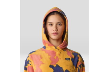 Image of Mountain Hardwear Microchill Hoody - Womens