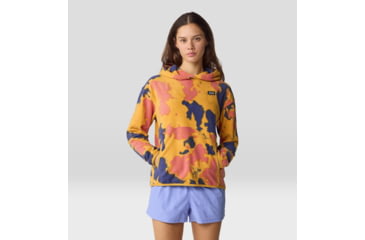 Image of Mountain Hardwear Microchill Hoody - Womens