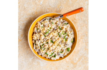 Image of Mountain House Beef Stroganoff with Noodles, 3 Servings, 54119