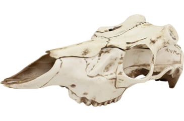 Image of Mountain Mike's Natural Causes Skull Master Large