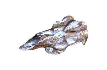 Image of Mountain Mike's Skull Master, Snow 1201388