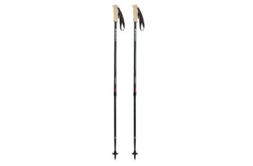 Image of Mountainsmith Andesite Carbon Trekking Poles, 19-9100-01