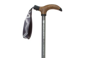 Image of Mountainsmith Globetrotter Trekking Pole, Graphite, Single, 19-9741-08