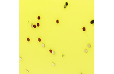 Image of Lew's MACH 1 Spinning Reel and Rod Combo, 6ft, 1-PC IM7 Graphite Rod, Ultra-Light, Fast, SZ 100 Reel, 9+1 Bearings, 5.2-1 Ratio, White/Black/Gray/Green, MH1060ULSG3