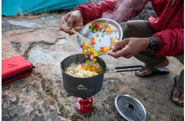 Image of MSR Alpine Plate