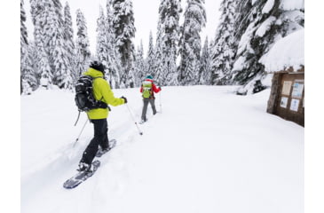 Image of MSR Poles DynaLock Trail Al2-sec Trekking Poles