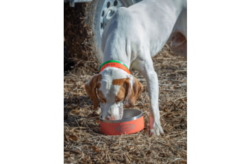 Image of Mud River Stainless Steel Dog Food Bowl, Orange, 64 oz, MRDB64O