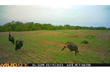 Image of Muddy MUD-MTGTR Brown