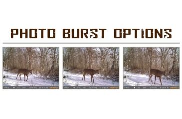 Image of Muddy Pro-Cam 12, Camo MTC500