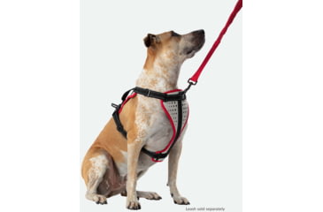 Image of Nathan Reflective Dog Harness Sm NS8500-0579-S