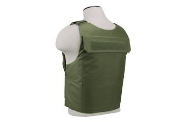 Image of Vism Discreet Plate Carrier, Green, Medium - 2XL CVPCVD2975G