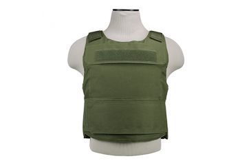 Image of Vism Discreet Plate Carrier, Green, Medium - 2XL CVPCVD2975G