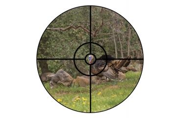 Image of Nikon 1.65 BTR reticle