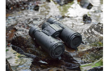 Image of Nikon M7 8 x 42 Roof Prism Binoculars, Black, 16765