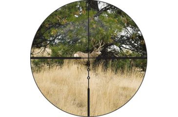 Image of Nikon Prostaff 5 4.5-18x40 SF Rifle Scope, Matte, BDC, FFP 16367