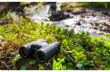 Image of Nikon PROSTAFF P7 8x30mm Binocular, Roof Prism, Black, 16770