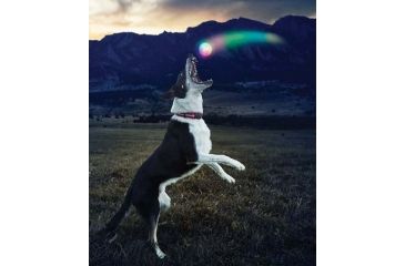 Image of Nite Ize GlowStreak LED Ball Disc-O GSB-07-R7