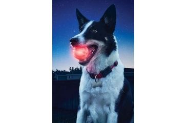 Image of Nite Ize GlowStreak LED Ball Red GSB-10-R7