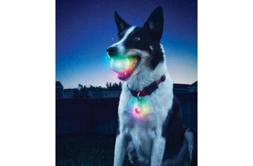 Image of Nite Ize GlowStreak LED Ball/SpotLit Combo Disc-O GSBC-07-R7