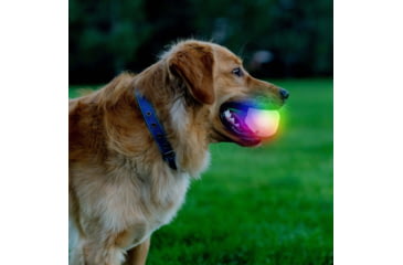 Image of Nite Ize Glowstreak Wild Led Ball - Disc-o - GSBW-07-R8