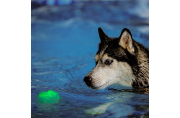 Image of Nite Ize GlowStreak Wild LED Ball, Disc-O, GSBW-07-R8