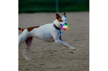 Image of Nite Ize Glowstreak Wild Led Ball - Disc-o - GSBW-07-R8