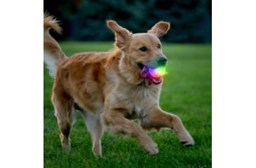 Image of Nite Ize Glowstreak Wild Led Ball - Disc-o - GSBW-07-R8