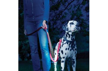 Image of Nite Ize LeashLit LED Micro Flashlight, Blue BGTP-03-R7