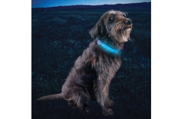 Image of Nite Ize Nitedog LED Collar Cover, N05462