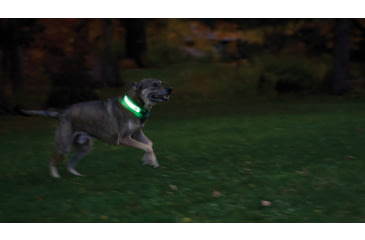 Image of Nite Ize Nitedog LED Collar Cover, N05462