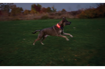 Image of Nite Ize Nitedog LED Collar Cover, N05462