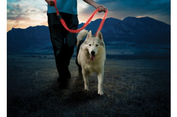 Image of Nite Ize Nitedog Rechargeable Leash, N05463