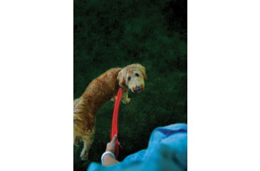 Image of Nite Ize Nitedog Rechargeable Leash, N05463