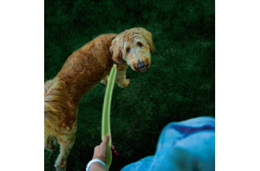 Image of Nite Ize NiteDog Rechargeable LED Leash, Lime/Green, NDLR-17-R3