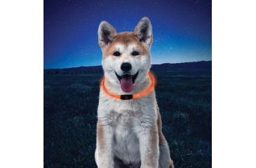 Image of Nite Ize NiteHowl LED Dog Safety Necklace, Orange, NHO-19-R3
