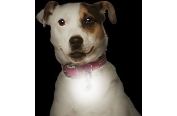 Image of Nite Ize PetLit LED Collar Light, White LED - Jewel Pink PCL02-03-12JE